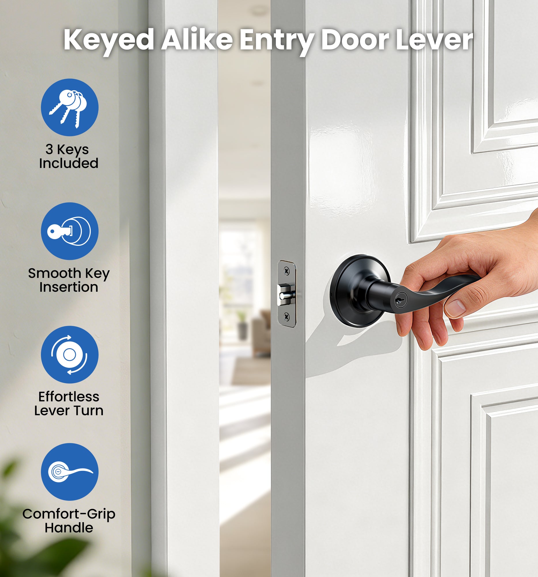 Veise H01-C Entry Door Lever