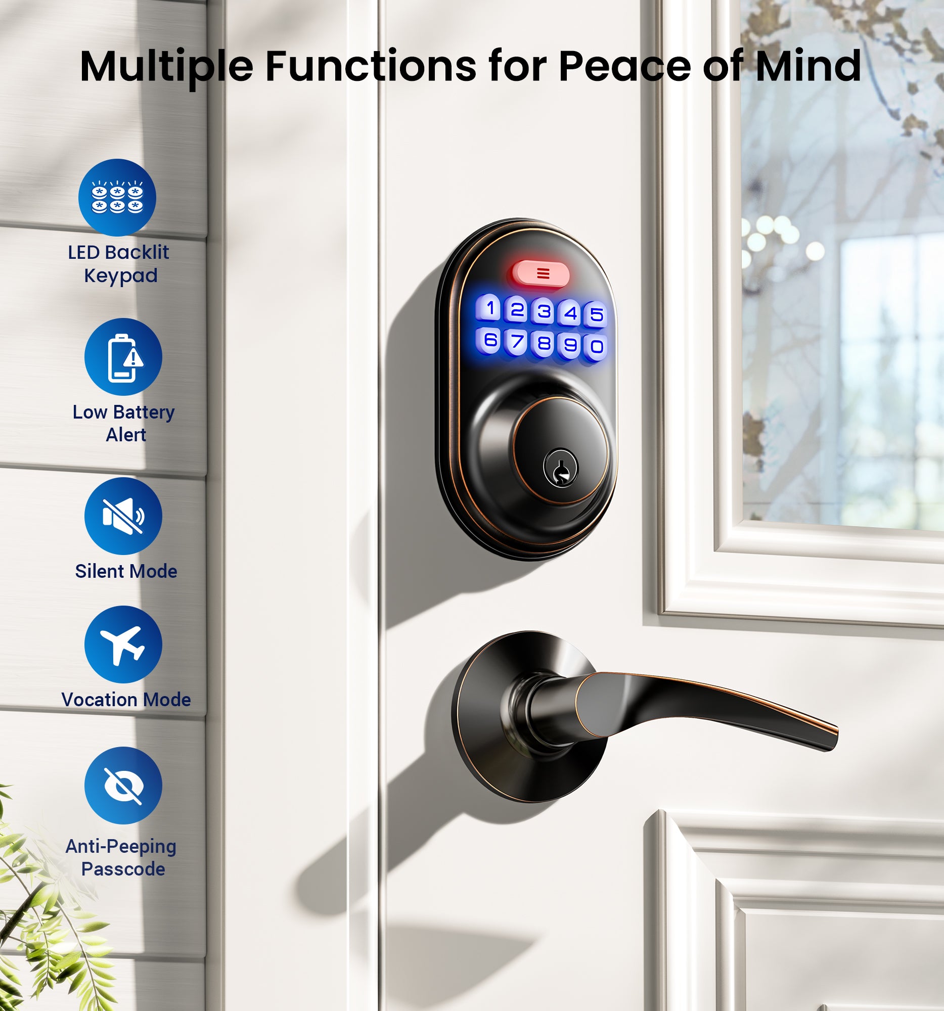 Veise RZ-C Keyless Entry Door Lock with 2 Lever Handles