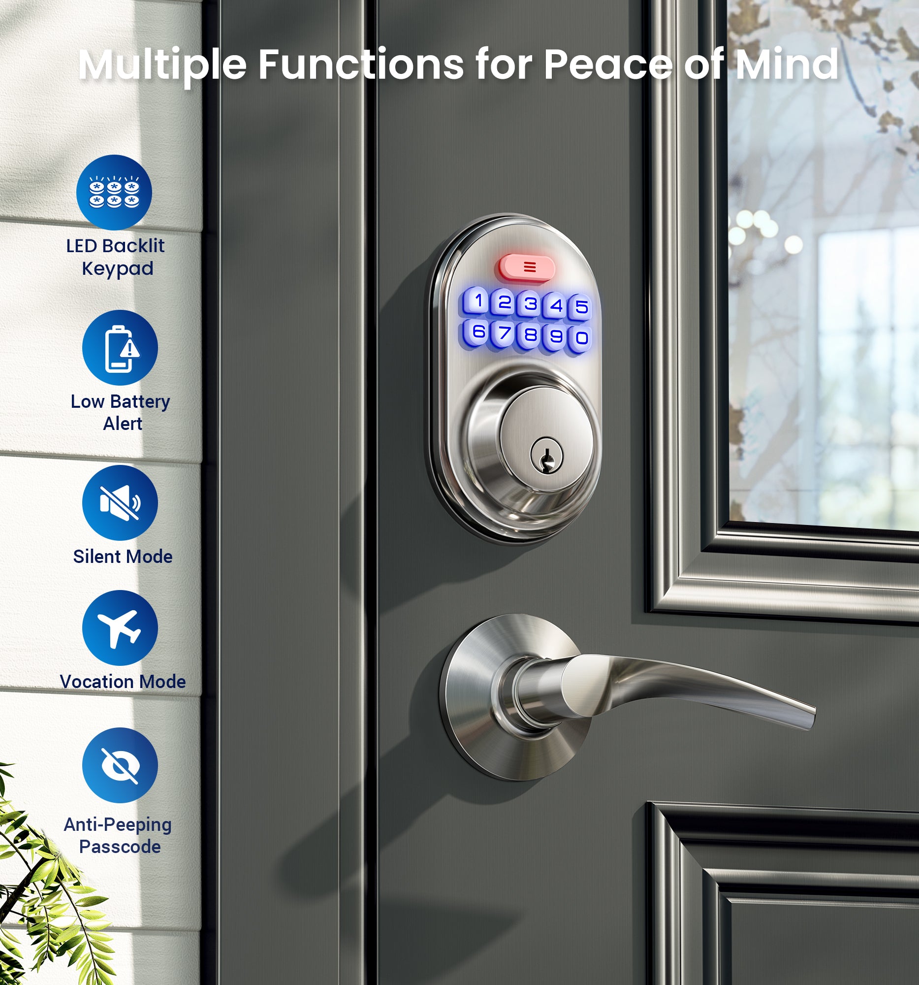Veise RZ-C Keyless Entry Door Lock with 2 Lever Handles