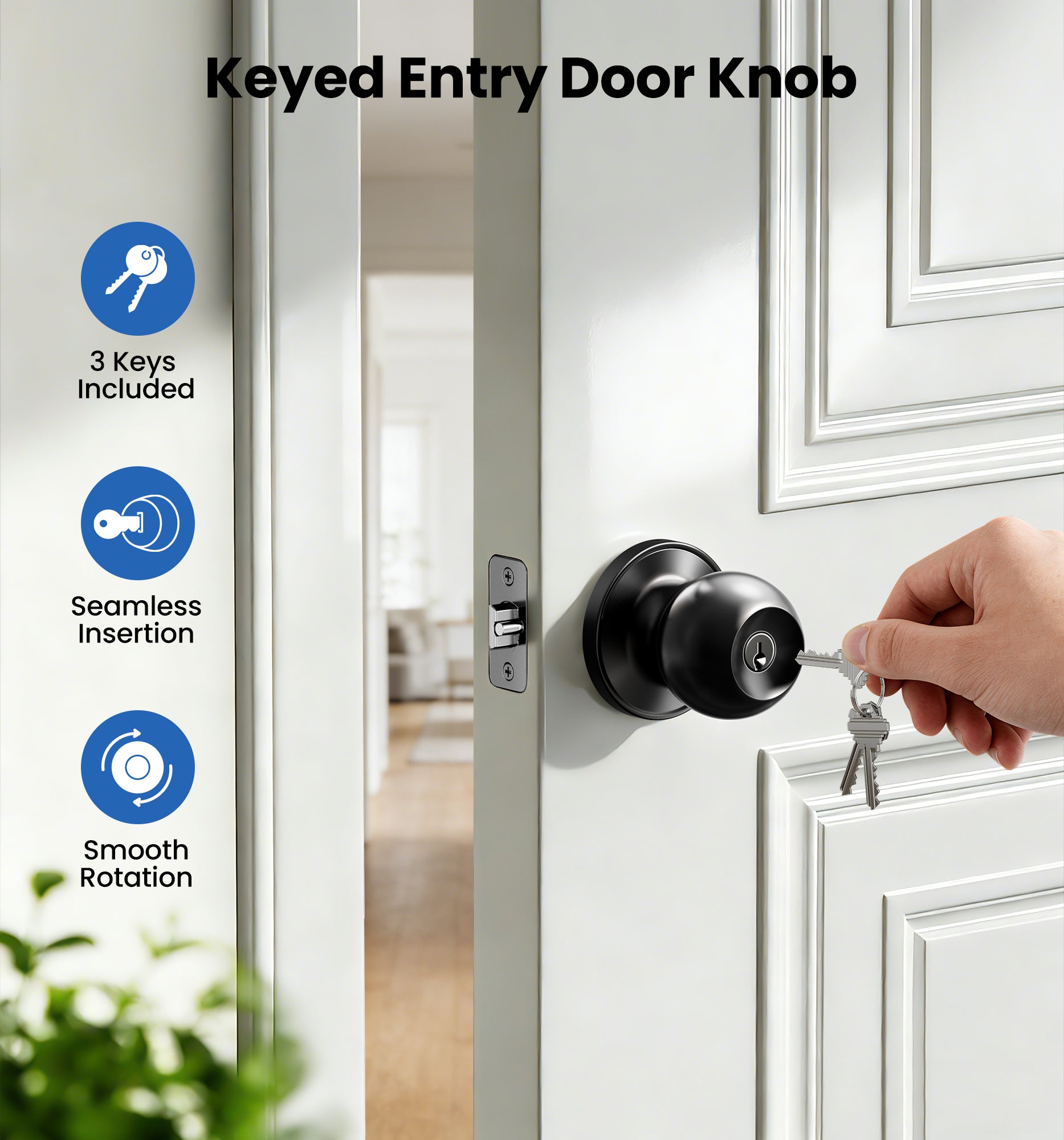 Veise K01 Keyed Entry Door Knob with Lock & Key