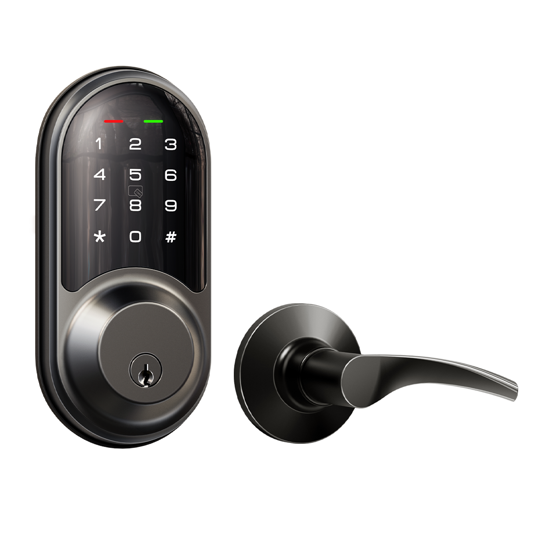 Veise RZ06B Keypad Smart Lock with Levers