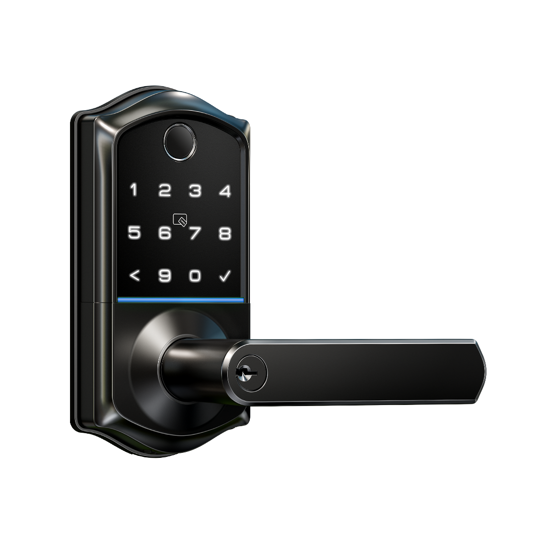 Veise VE019 Fingerprint Smart Lock with Handle