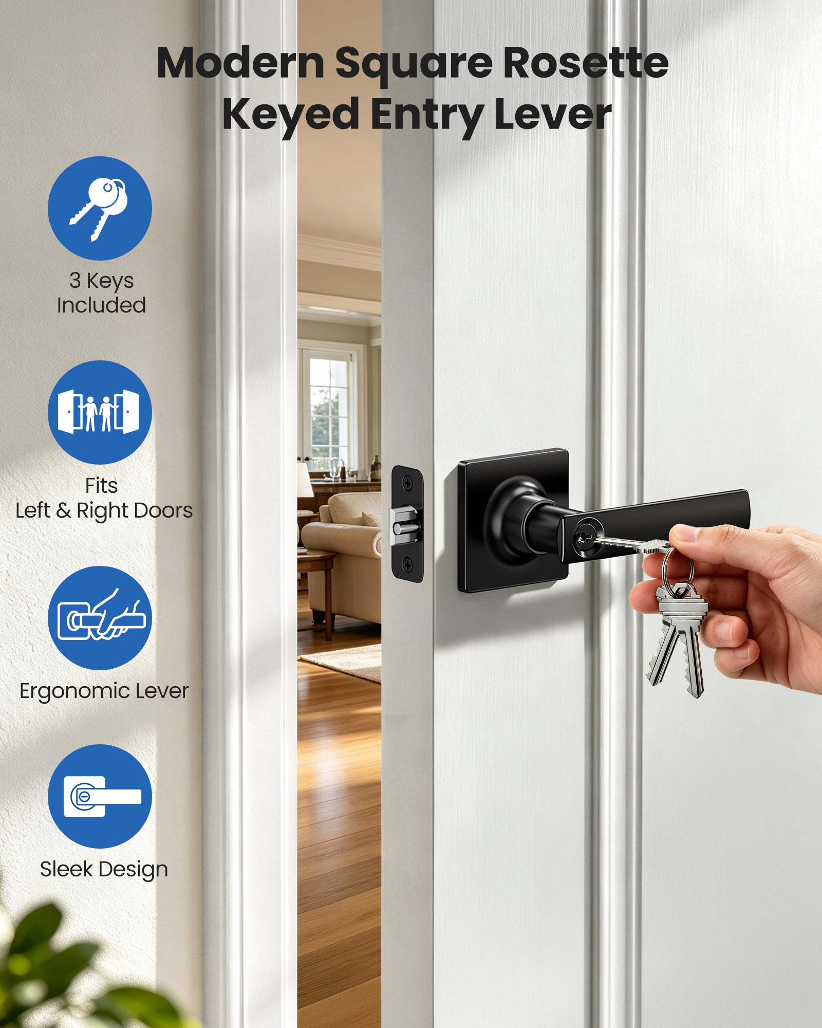 Veise LY01 Square Keyed Entry Door Lever, Door Handle with Lock