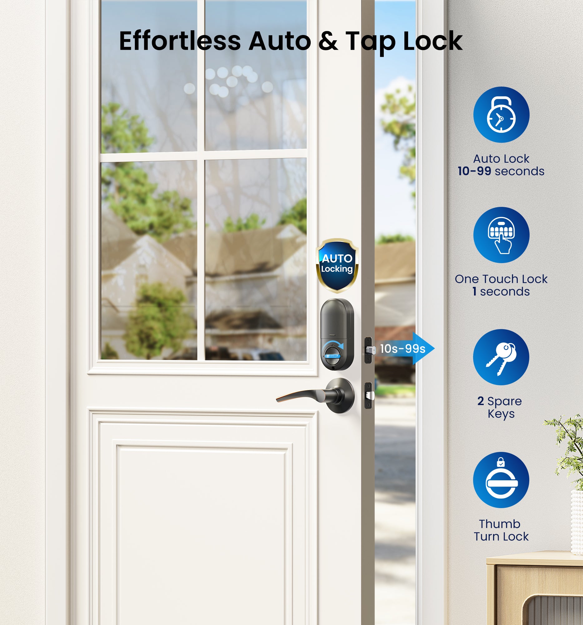 Veise RZ-C Keyless Entry Door Lock with 2 Lever Handles