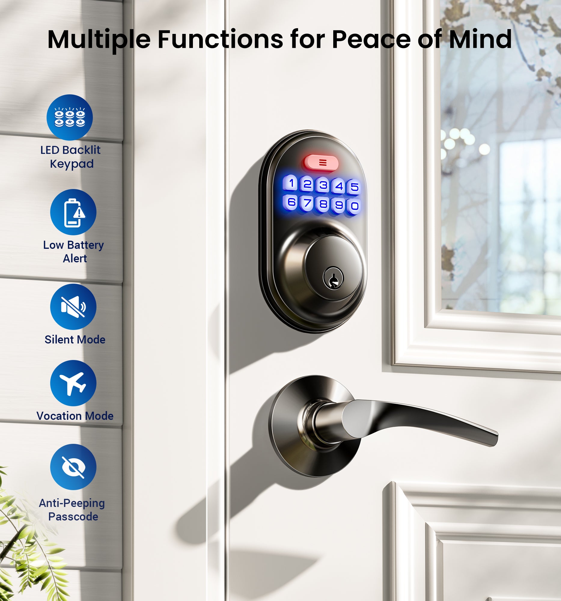 Veise RZ-C Keyless Entry Door Lock with 2 Lever Handles