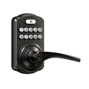 Veise KS04 Keypad Door Lock with Handle