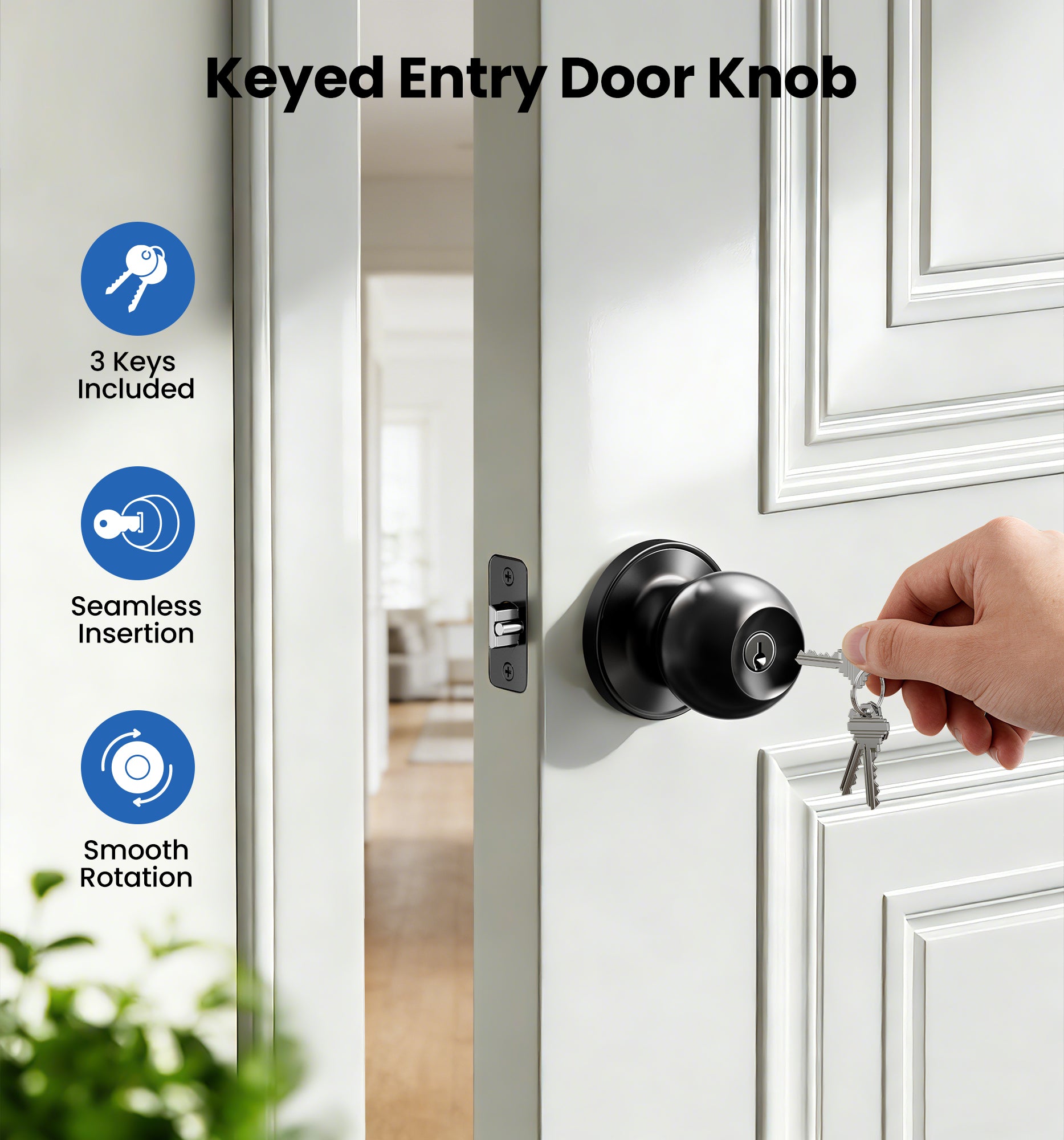 Veise K01 Keyed Entry Door Knob with Lock & Key