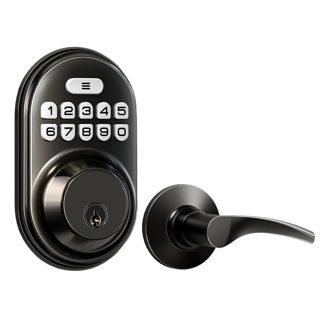 Veise RZ-C Keyless Entry Door Lock with 2 Lever Handles