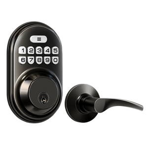 Veise RZ-C Keyless Entry Door Lock with 2 Lever Handles