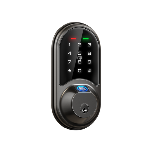 Veise RZ07 Fingerprint & Keypad Smart Lock #Color_Matte Black