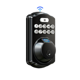 Veise VE012W Built-in Wi-Fi Fingerprint Smart Lock