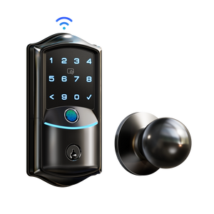 Veise VE027-K Built-in Wi-Fi Fingerprint Smart Lock with 2 Knobs