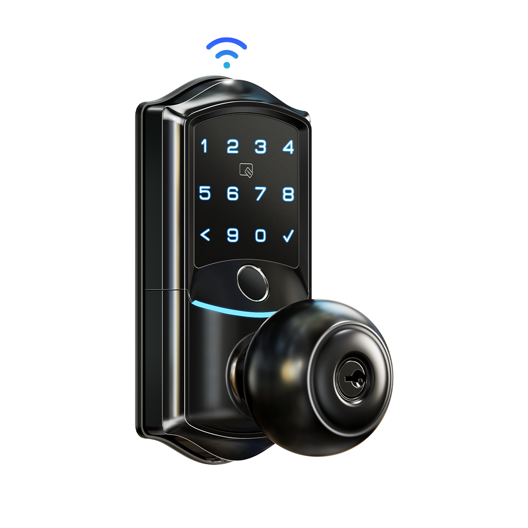 Veise VE028 Built-in Wi-Fi Smart Lock with Knob