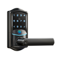 Veise VE029 Wi-Fi Smart Lever Lock with Digital Keypad