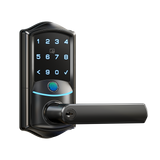 Veise VE029 Wi-Fi Smart Lever Lock with Digital Keypad