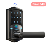 Veise VE029 Built-in WiFi Fingerprint Smart Lever Lock