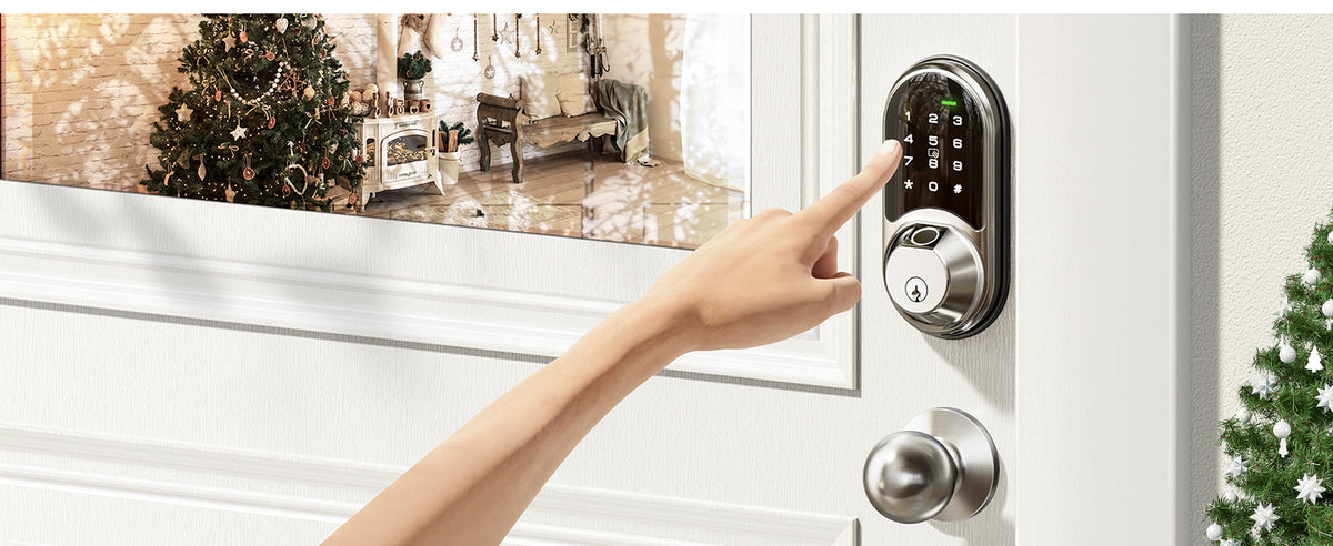 RZ07C Fingerprint Smart Lock with Knobs