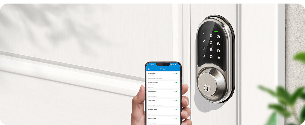 RZ06 Keyless Entry Smart Lock with App Control