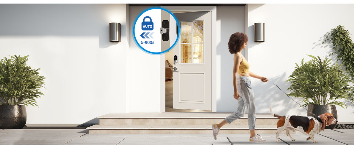 RZ06B Keypad Smart Lock with Levers
