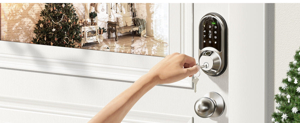 RZ07C Fingerprint Smart Lock with Knobs