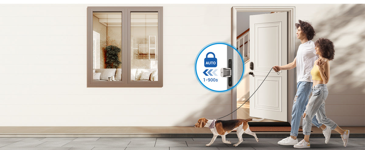 RZ06C Keypad Smart Lock with Knobs