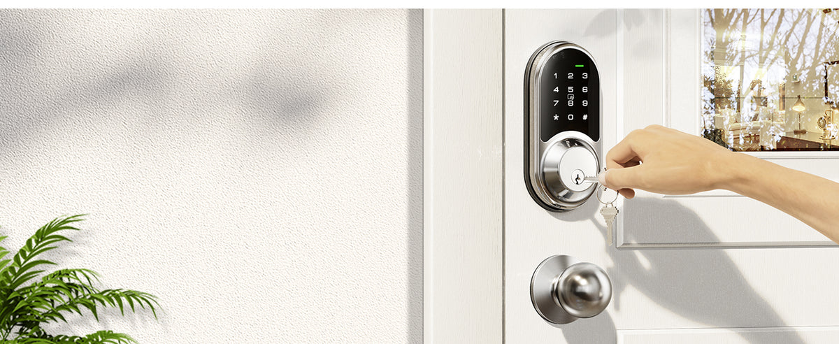 RZ06C Keypad Smart Lock with Knobs