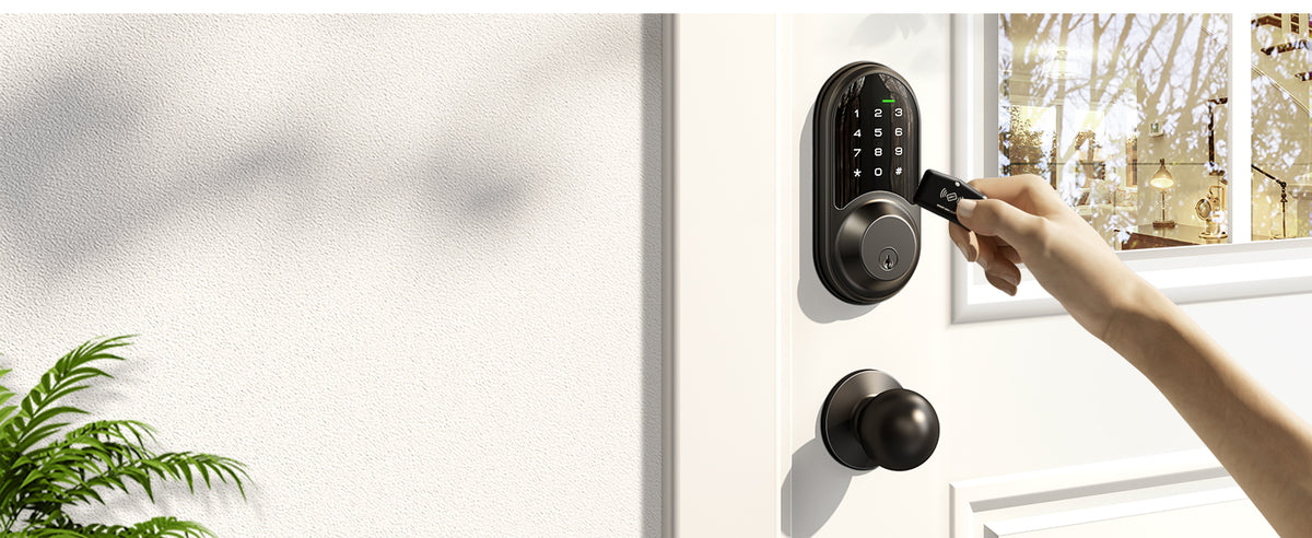 RZ06C Keypad Smart Lock with Knobs