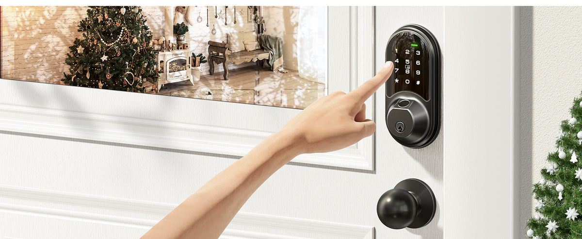 RZ07C Fingerprint Smart Lock with Knobs