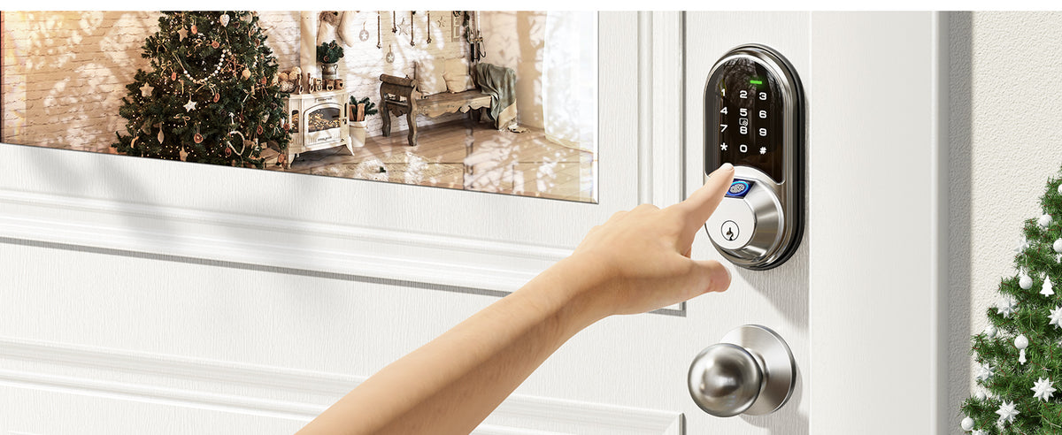 RZ07C Fingerprint Smart Lock with Knobs
