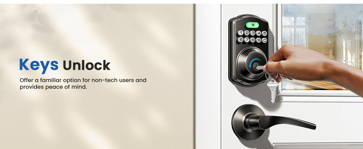KS01B Keyless Entry Door Lock with 2 Lever Handles