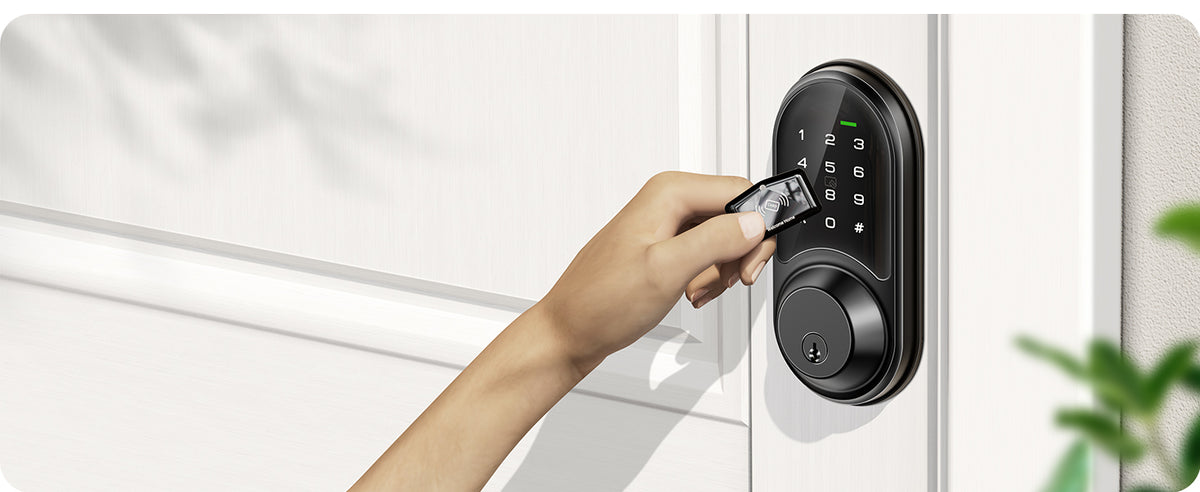 RZ06 Keyless Entry Smart Lock with App Control
