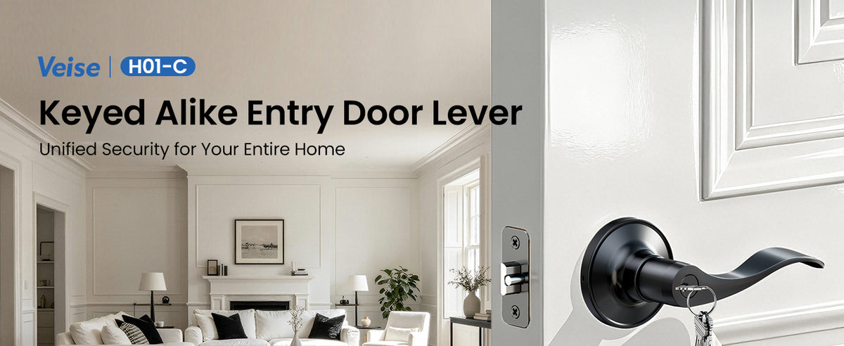 H01-C Entry Door Lever