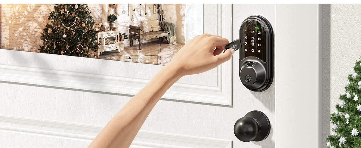 RZ07C Fingerprint Smart Lock with Knobs