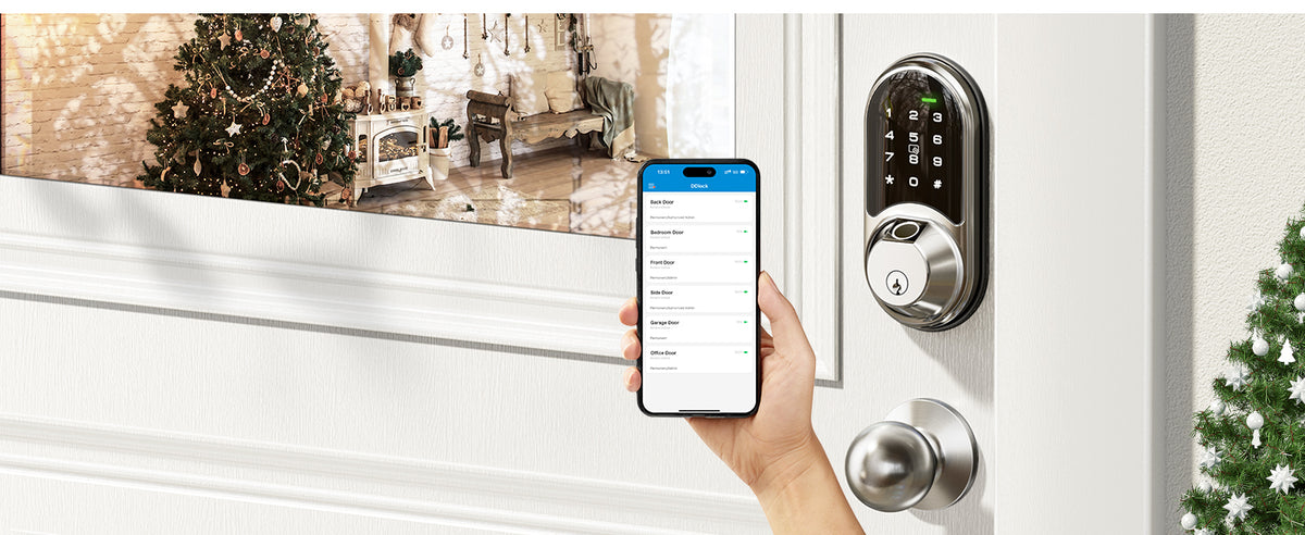 RZ07C Fingerprint Smart Lock with Knobs