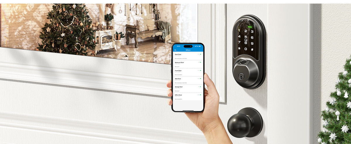 RZ07C Fingerprint Smart Lock with Knobs