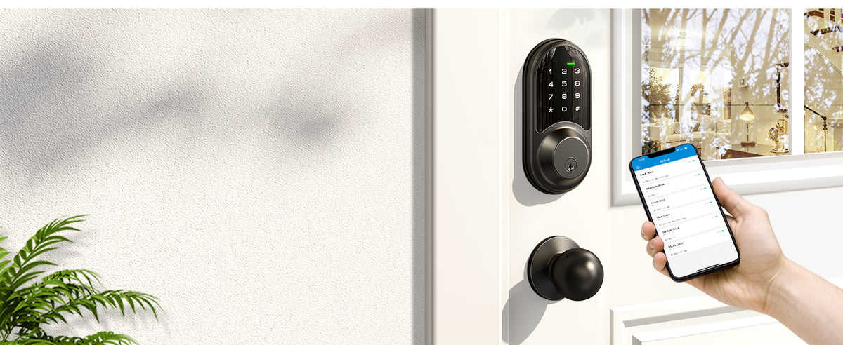 RZ06C Keypad Smart Lock with Knobs