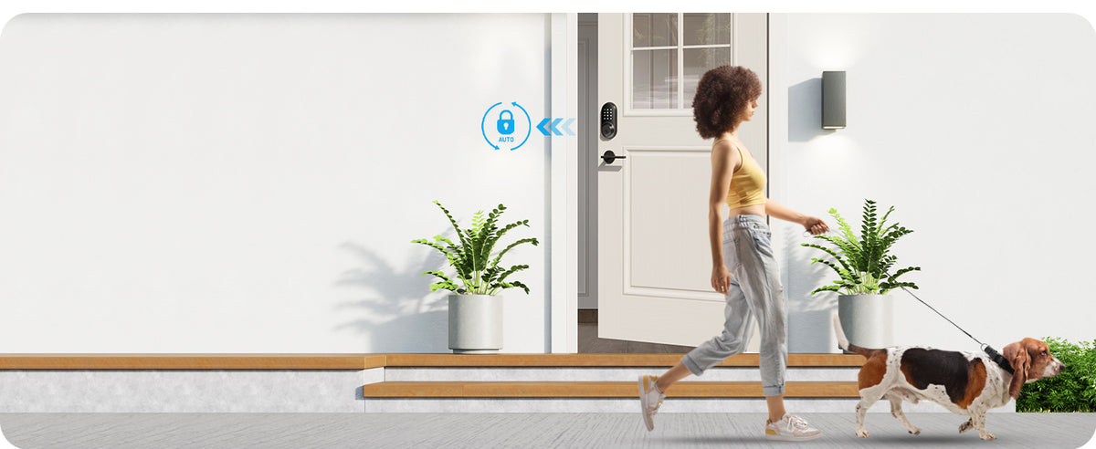 RZ06 Keyless Entry Smart Lock with App Control