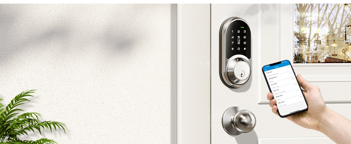 RZ06C Keypad Smart Lock with Knobs