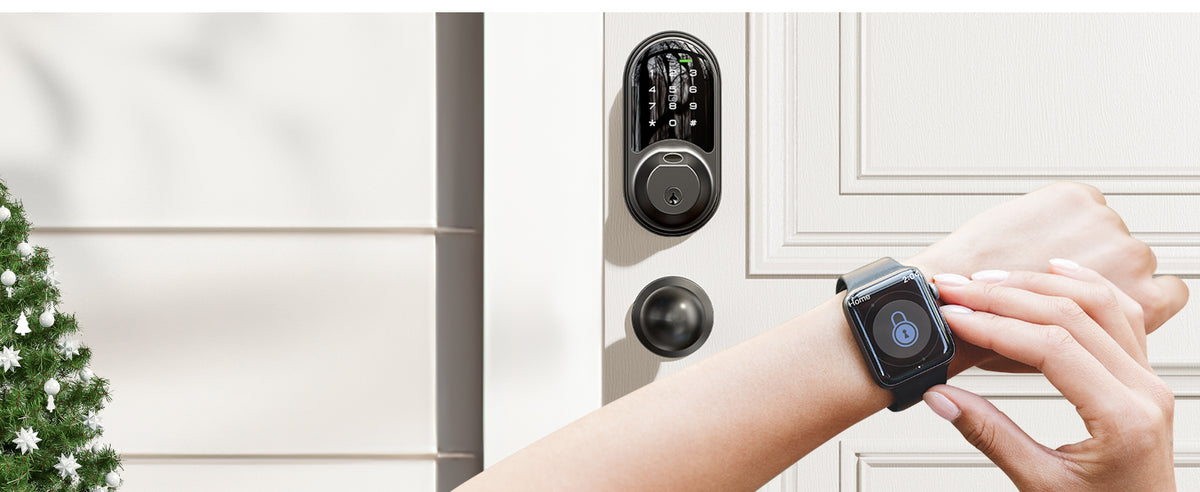 RZ07C Fingerprint Smart Lock with Knobs