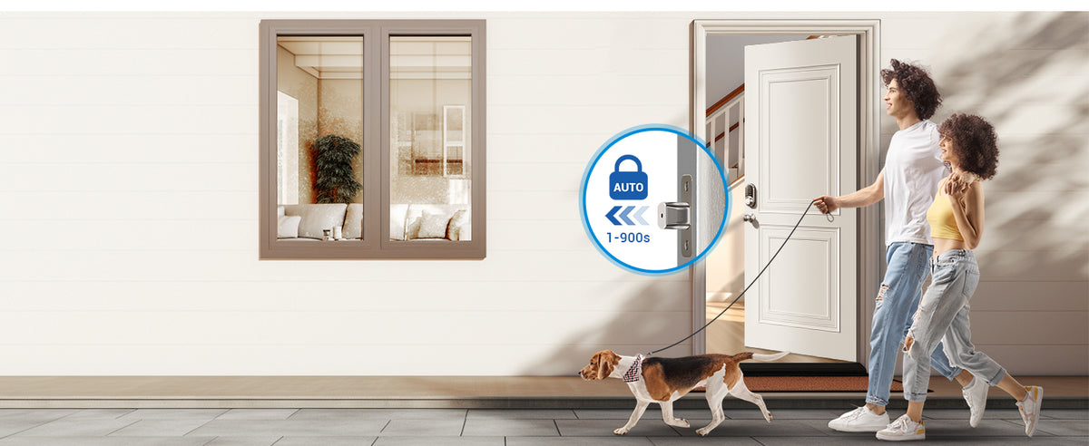 RZ06C Keypad Smart Lock with Knobs