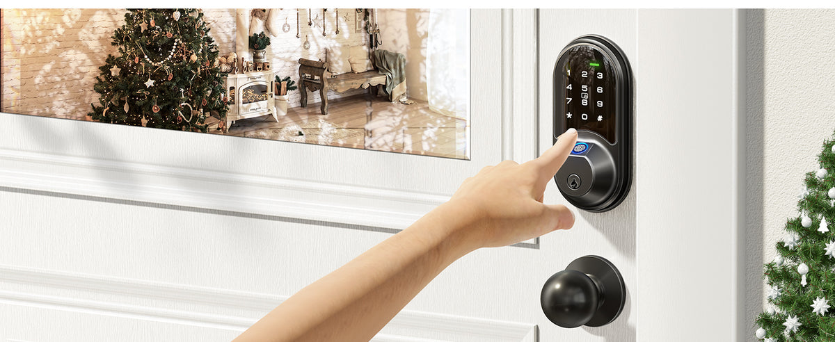 RZ07C Fingerprint Smart Lock with Knobs