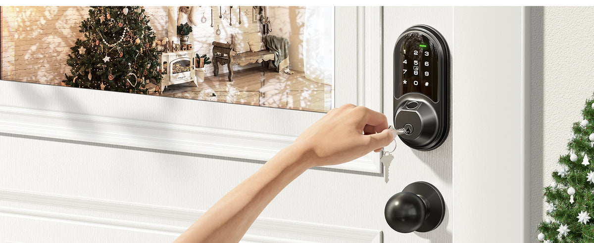 RZ07C Fingerprint Smart Lock with Knobs