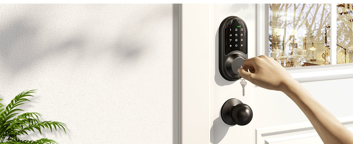RZ06C Keypad Smart Lock with Knobs