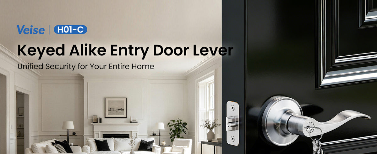 H01-C Entry Door Lever